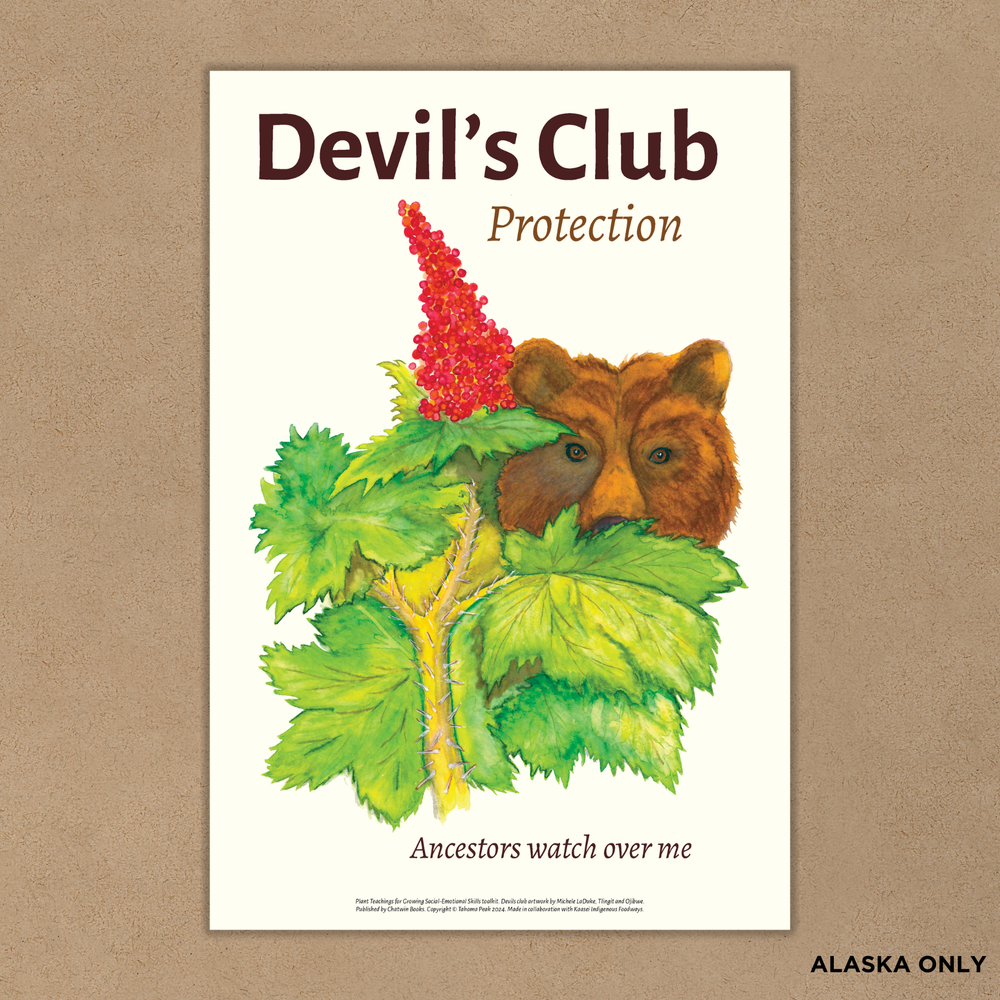 Plant Teachings Classroom Poster Set — Chatwin Books